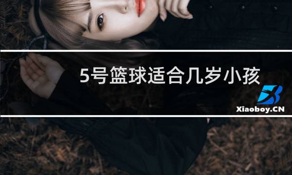 5号篮球适合几岁小孩图片