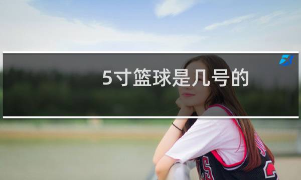 5寸篮球是几号的图片