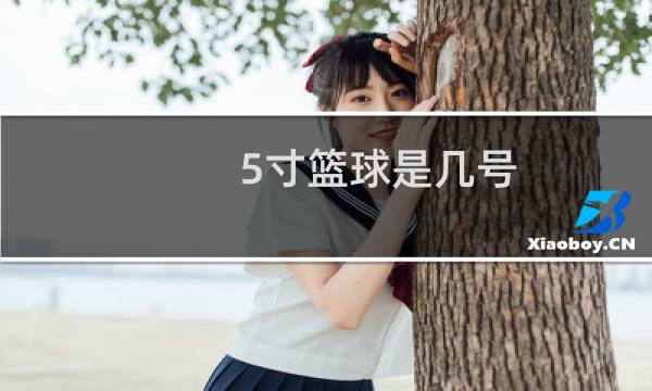 5寸篮球是几号图片