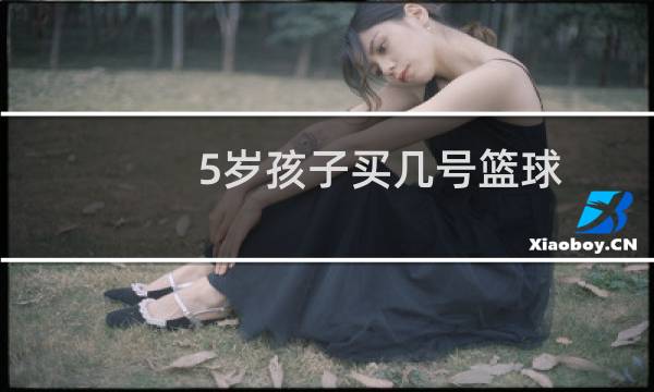 5岁孩子买几号篮球图片