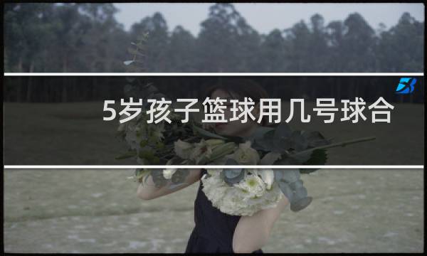 5岁孩子篮球用几号球合适图片