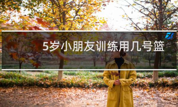 5岁小朋友训练用几号篮球图片