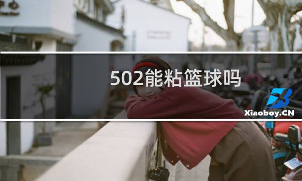 502能粘篮球吗图片