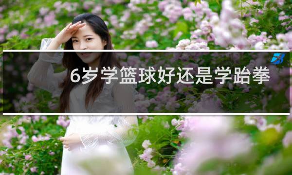 6岁学篮球好还是学跆拳道好图片