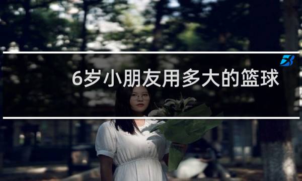6岁小朋友用多大的篮球合适图片