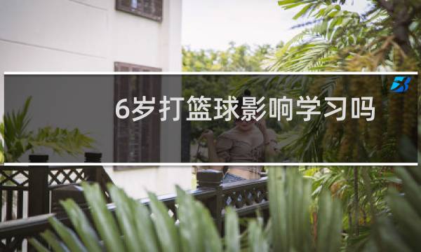 6岁打篮球影响学习吗图片