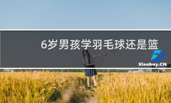 6岁男孩学羽毛球还是篮球图片
