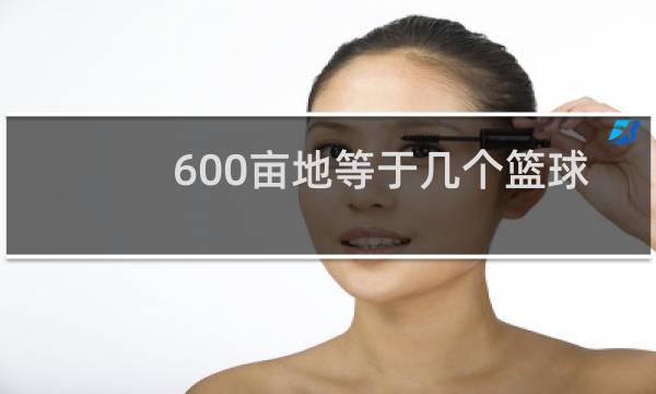 600亩地等于几个篮球场图片