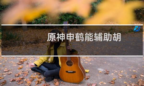 原神申鹤能辅助胡桃吗