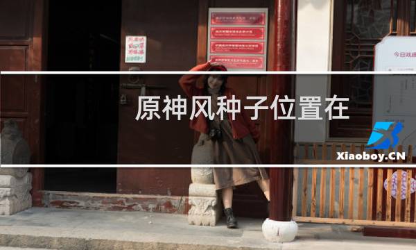 原神风种子位置在哪