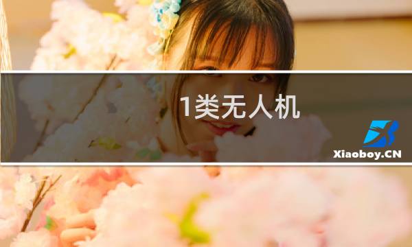 1类无人机
