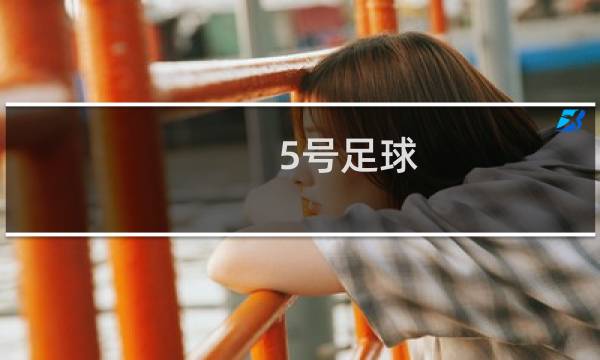 5号足球