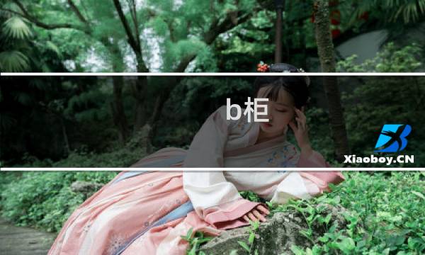 b柜