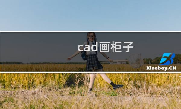 cad画柜子的图片素材