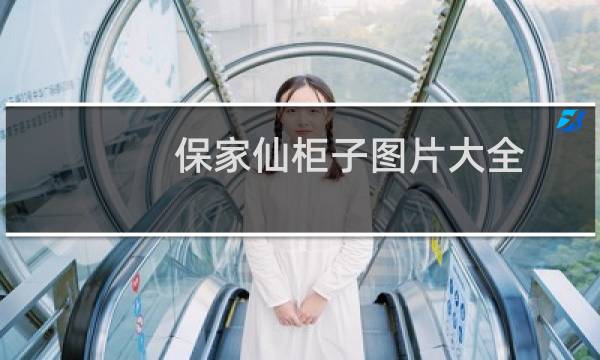 保家仙柜子图片大全