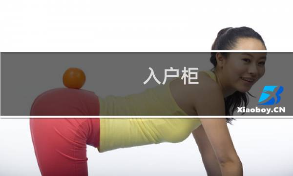 入户柜