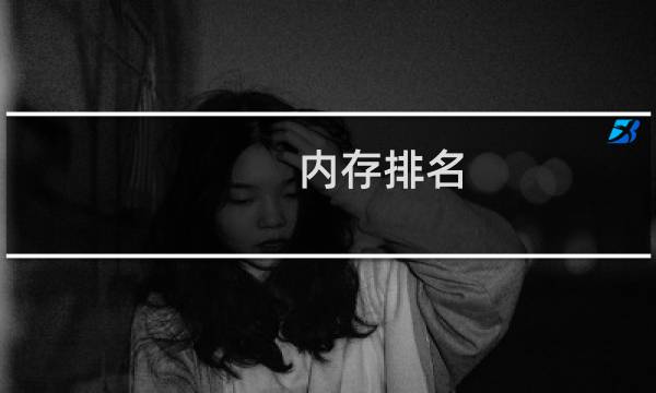 内存排名(电脑内存条十大排名)