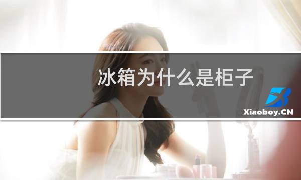 冰箱为什么是柜子
