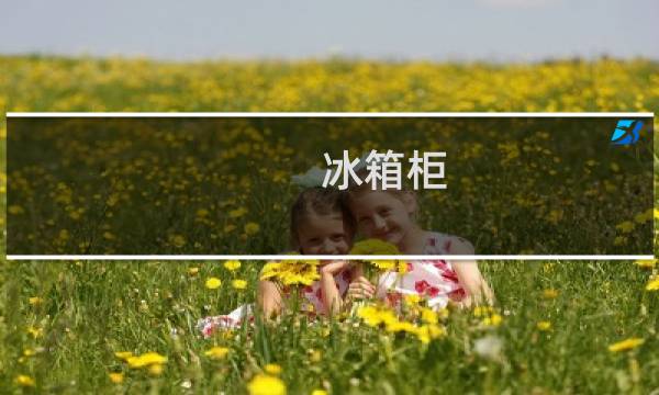 冰箱柜