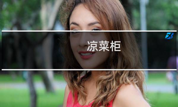 凉菜柜