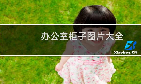办公室柜子图片大全