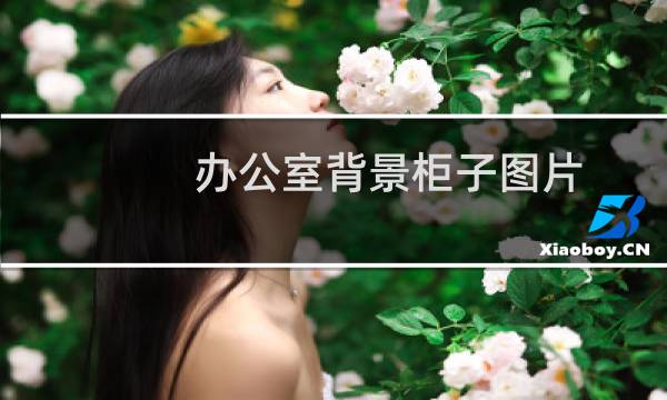 办公室背景柜子图片