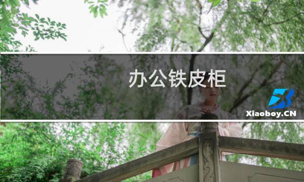 办公铁皮柜