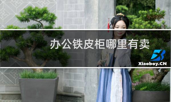 办公铁皮柜哪里有卖(铁皮档案柜哪里有卖的)