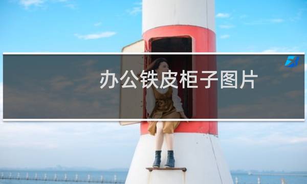 办公铁皮柜子图片