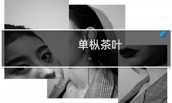 单枞茶叶的图片素材