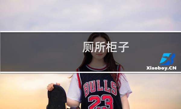 厕所柜子(厕所衣柜)