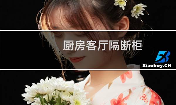 厨房客厅隔断柜