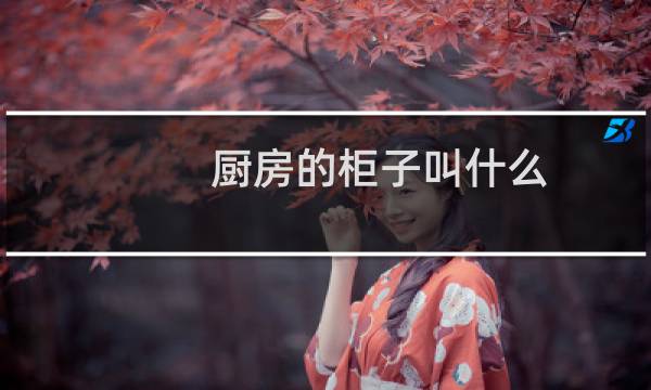 厨房的柜子叫什么(厨房门口的柜子叫什么)