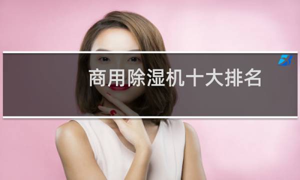 商用除湿机十大排名(国产除湿机品牌十大排名)