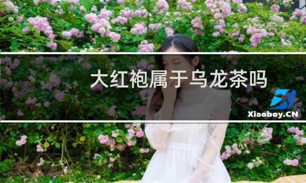 大红袍属于乌龙茶吗?