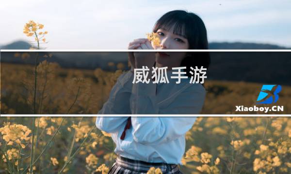 威狐手游(威狐手游加盟9800元靠谱吗)