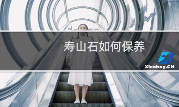 寿山石如何保养?的图片素材