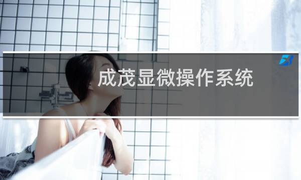 成茂显微操作系统的图片素材