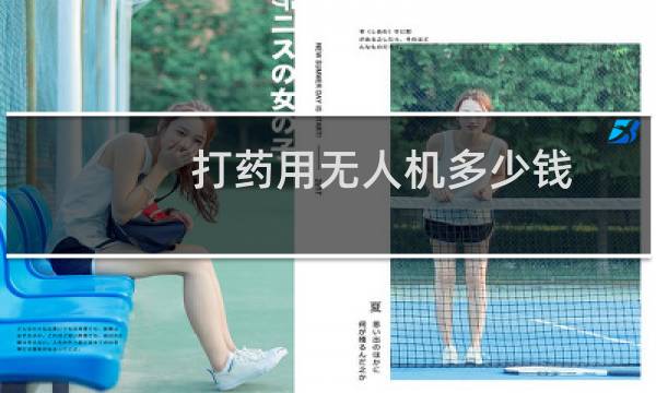 打药用无人机多少钱?