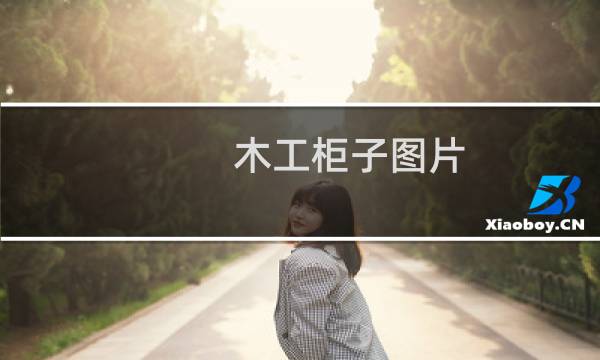 木工柜子图片(木工做衣柜样板图)