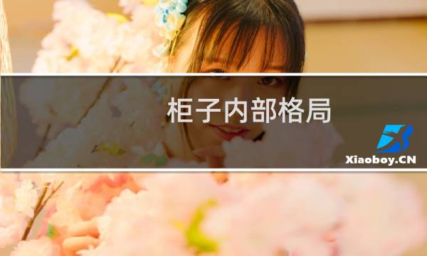 柜子内部格局