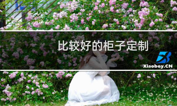 比较好的柜子定制