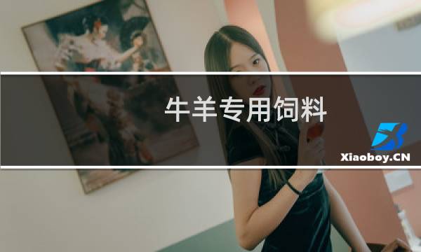 牛羊专用饲料