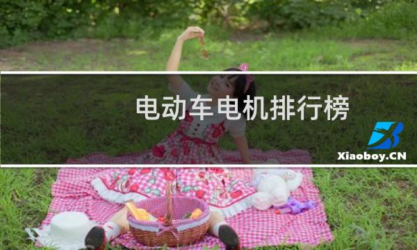 电动车电机排行榜(十大名牌电动车排名)