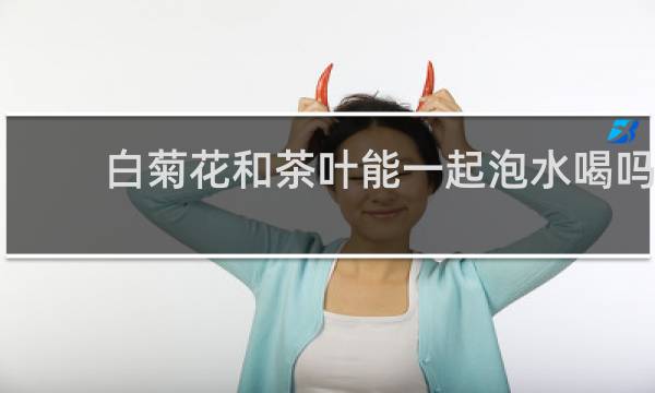 白菊花和茶叶能一起泡水喝吗?