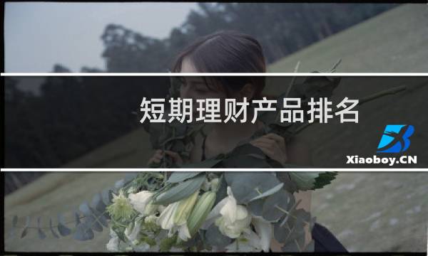 短期理财产品排名(好的短期理财产品排行)