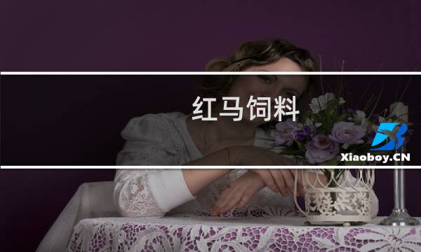 红马饲料