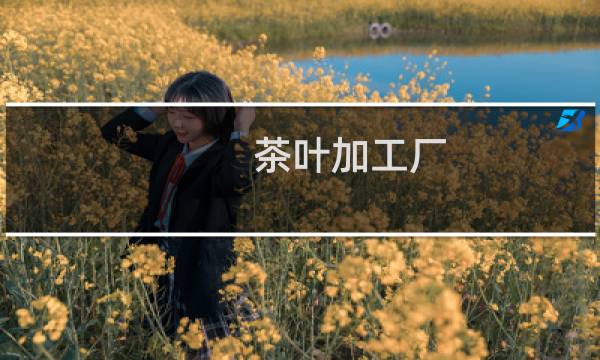茶叶加工厂的图片素材