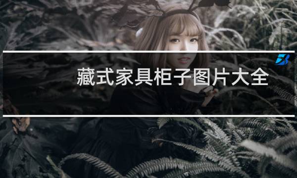 藏式家具柜子图片大全