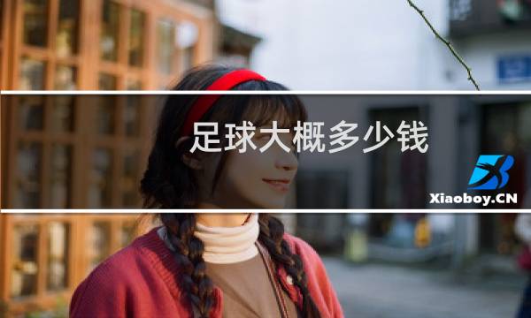 足球大概多少钱